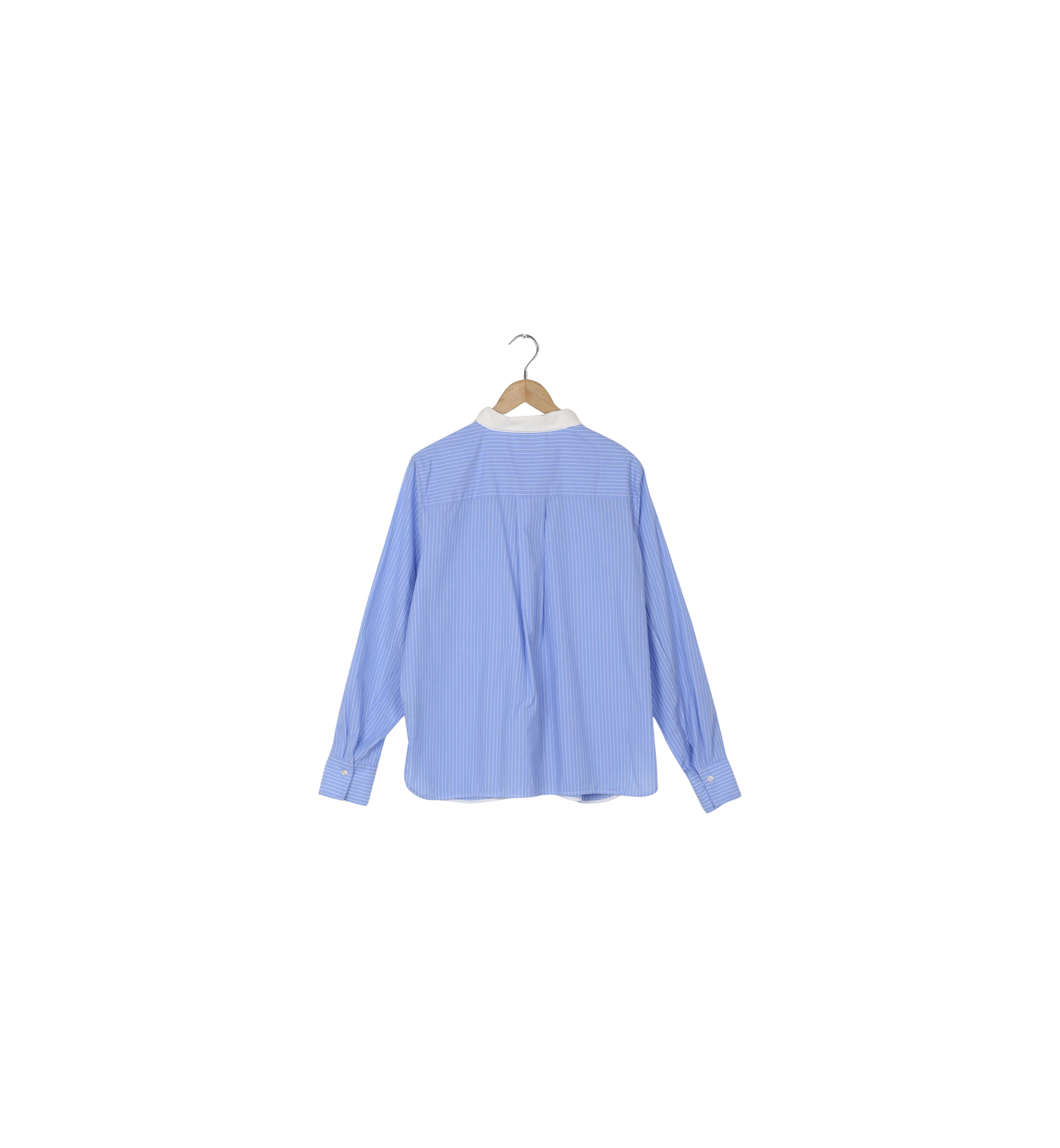 Packshot / Hydrangea / ReLoved